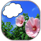 Blue Sky Photo frame иконка