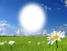Blue Sky Photo frame постер
