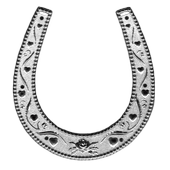 Lucky horse shoe Storm 3D LWP ikon