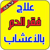 علاج فقر الدم مجرب иконка