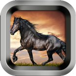 ต่อภาพม้า