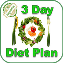 3 Day Low Carb Vegetarian Meal Plan- Low Carb Diet APK