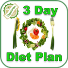 3 Day Low Carb Vegetarian Meal Plan- Low Carb Diet biểu tượng