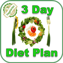 APK 3 Day Low Carb Vegetarian Meal Plan- Low Carb Diet