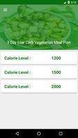 3 Day Low Carb Vegetarian Meal Plan- Low Carb Diet poster