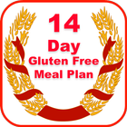 14 Day Healthy Gluten Free Diet Plan ícone