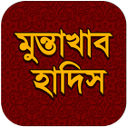 মুন্তাখাব হাদিস biểu tượng