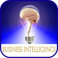 Business Intelligence