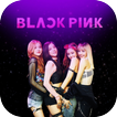 Black Pink KPOP Wallpapers HD