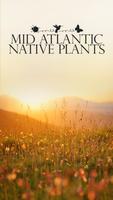 Mid Atlantic Native Plants Affiche