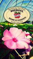 Soergel Home & Garden 포스터