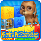 Review Pet Rescue Saga biểu tượng