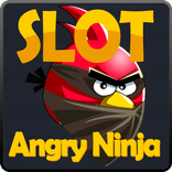 Angry Ninja Slot