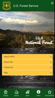 Gila National Forest Affiche