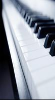 بيانو طيور الجنة স্ক্রিনশট 1