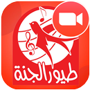طيور الجنة بيبي فيديو- toyor al janah baby video APK