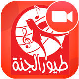 طيور الجنة icon