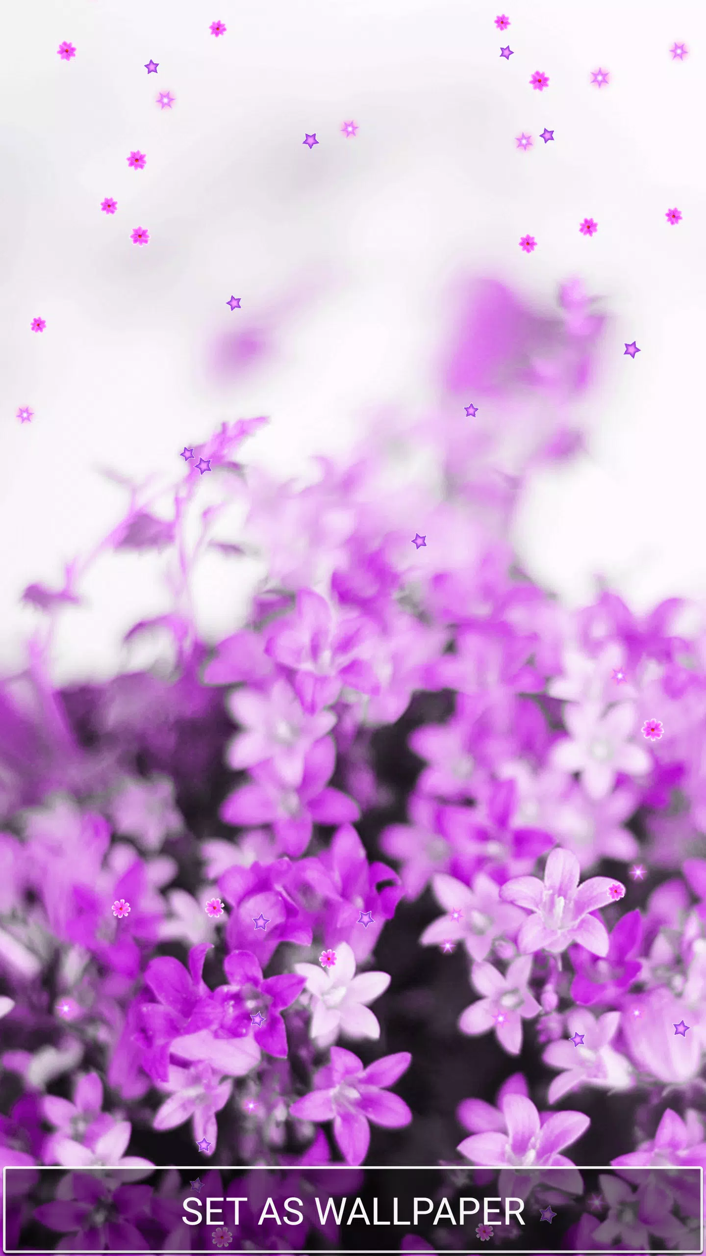 beautiful purple flower wallpapers for desktop