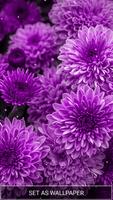 Purple Flower Wallpaper capture d'écran 2