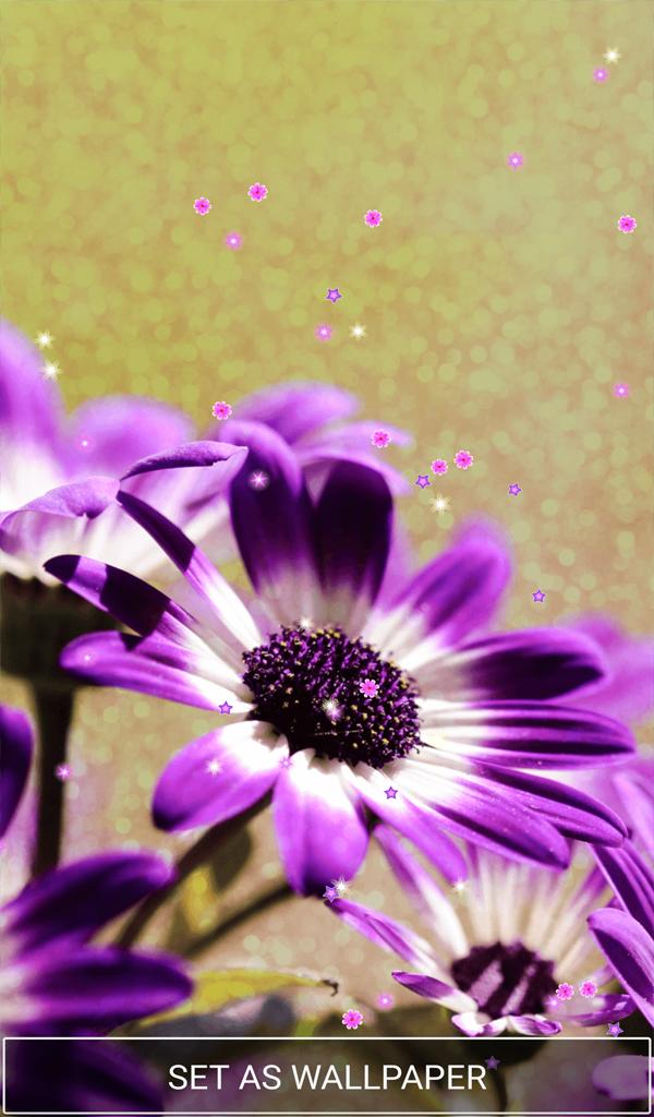 紫色花背景安卓下载 安卓版apk 免费下载