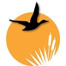 Visit Fallon, NV APK