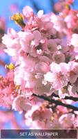 Sakura Live Wallpaper ภาพหน้าจอ 3