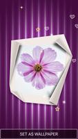 Photo Live Wallpaper পোস্টার