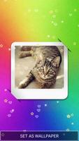 Photo Live Wallpaper স্ক্রিনশট 3