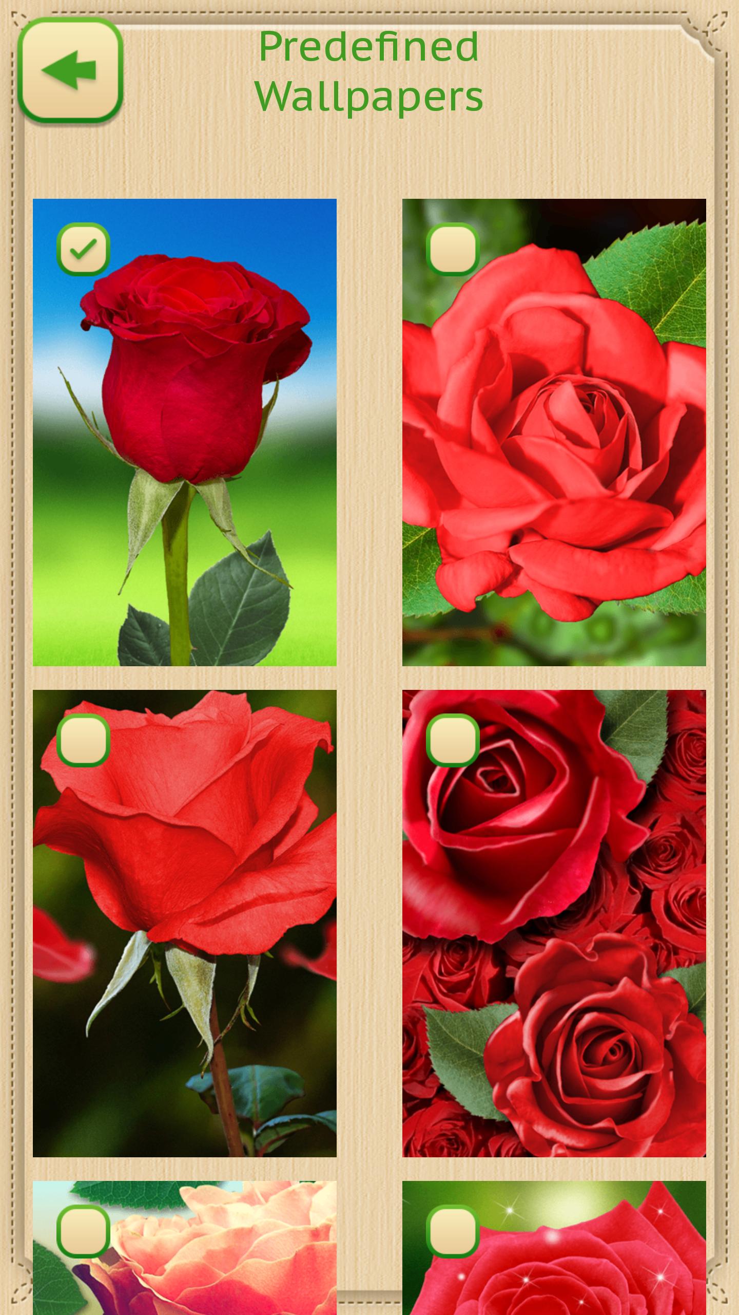 Walpaper Bunga Mawar Merah For Android APK Download