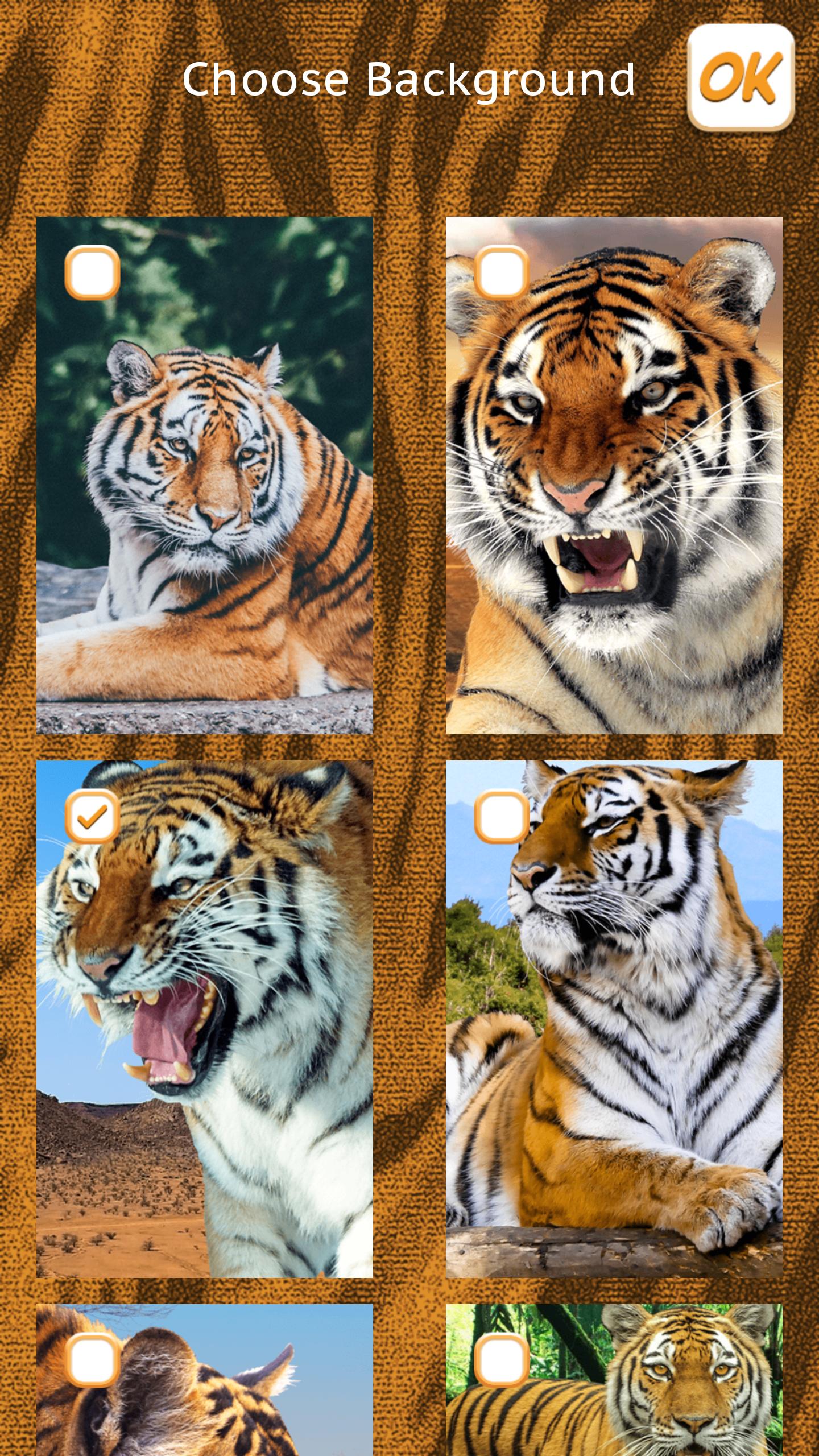 Wow 16 Wallpaper Animasi Harimau Bergerak Joen Wallpaper