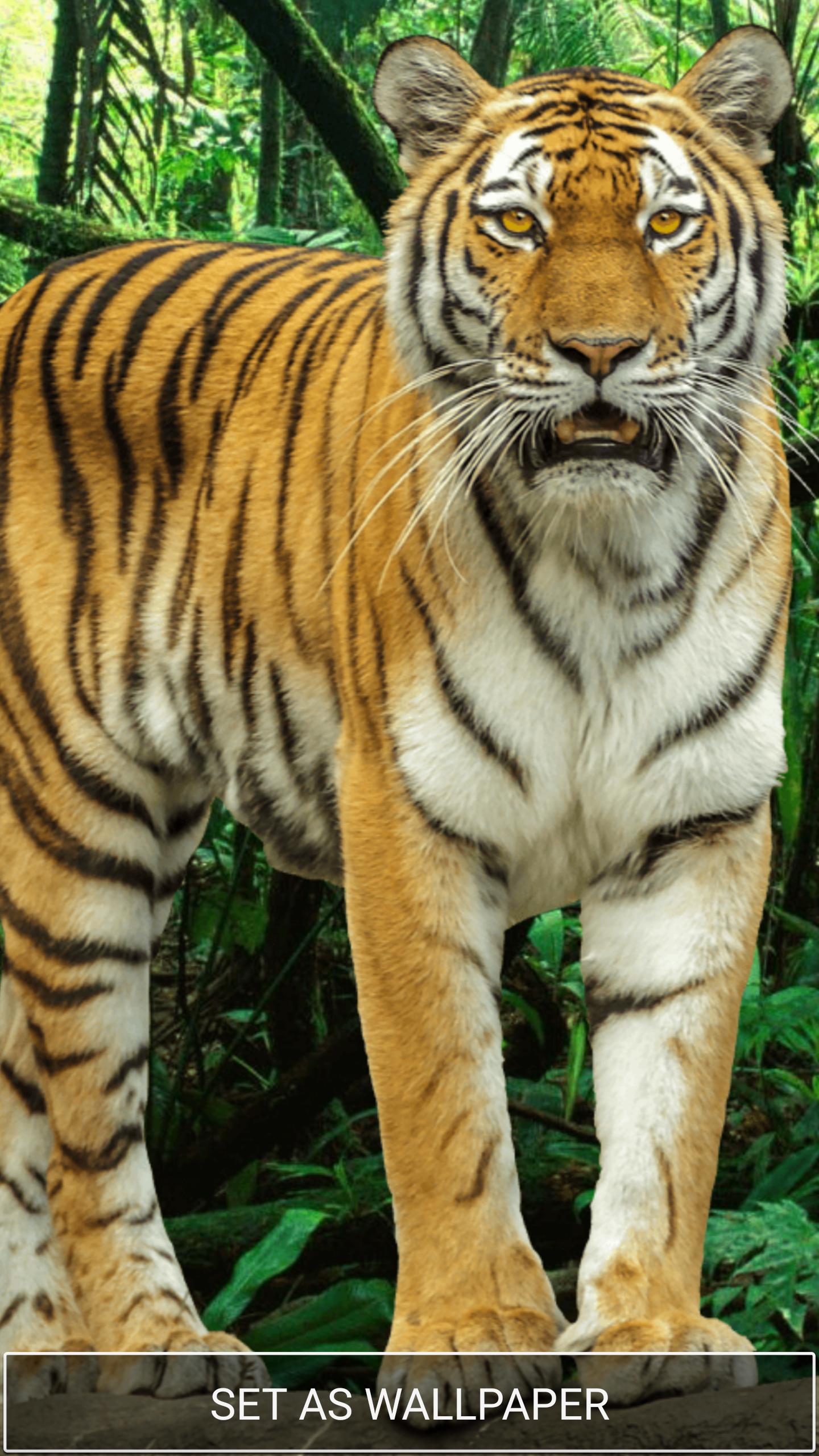 Wow 30 Wallpaper Hp Harimau Richa Wallpaper