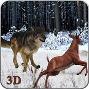 Angry Wolf Jungle 3D