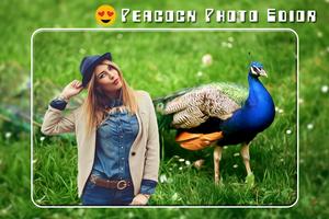 Peacock Photo Editor Plakat