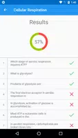 Flashcards Ekran Görüntüsü 4