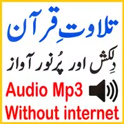 Audio Mp3 Shurem Quran Tilawat