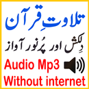 Audio Mp3 Shurem Quran Tilawat APK