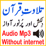 Audio Mp3 Shurem Quran Tilawat icon