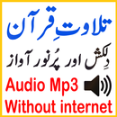 Audio Mp3 Shurem Quran Tilawat-APK