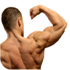 Tricep Workouts APK