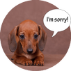 Bark Translator : Human To Dogs APK