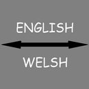 APK English - Welsh Translator