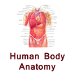 Human body anatomy tips hindi