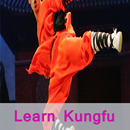Learn Kung Fu APK