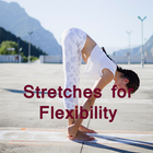 Stretches for flexibility 圖標