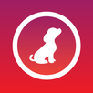 APK Pet-Remote