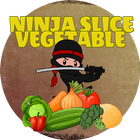 Ninja Slice Vegetable 图标