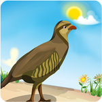 Partridge Drop APK
