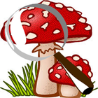 Suivi des champignons icône