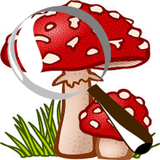 Mushroom Tracker icon