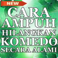 14 Cara Menghilangkan Komedo Secara Alami โปสเตอร์